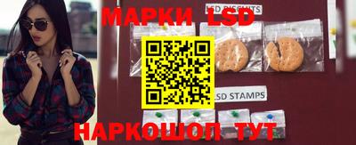 spice Можга